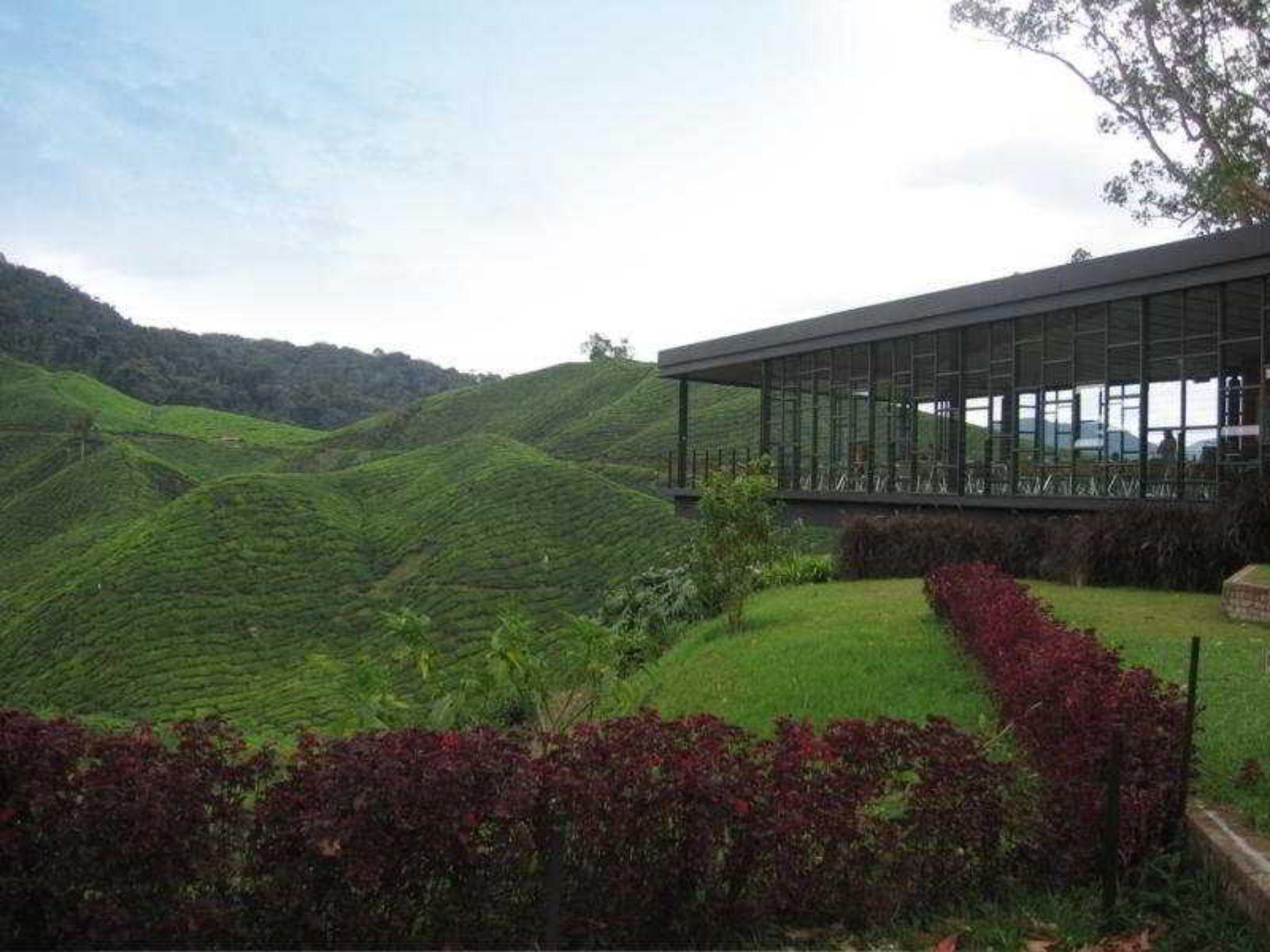 Century Pines Resort Cameron Highlands Eksteriør bilde
